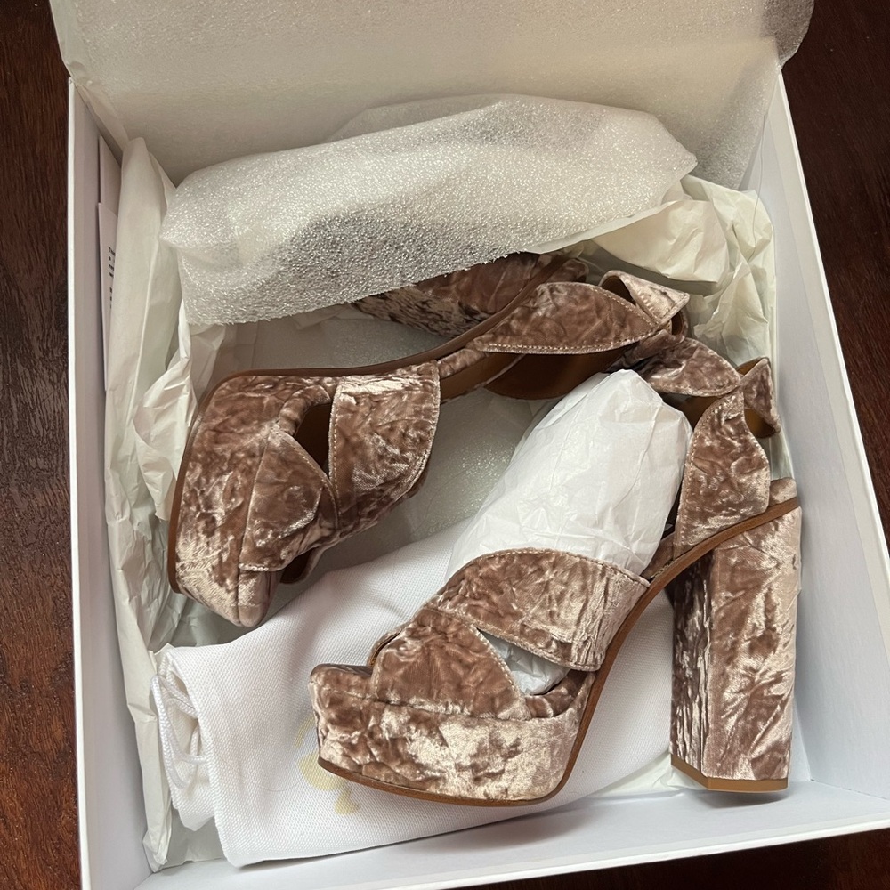 NWT Chloe Rose Velvet heels
